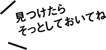 見つけたらそっとしておいてね