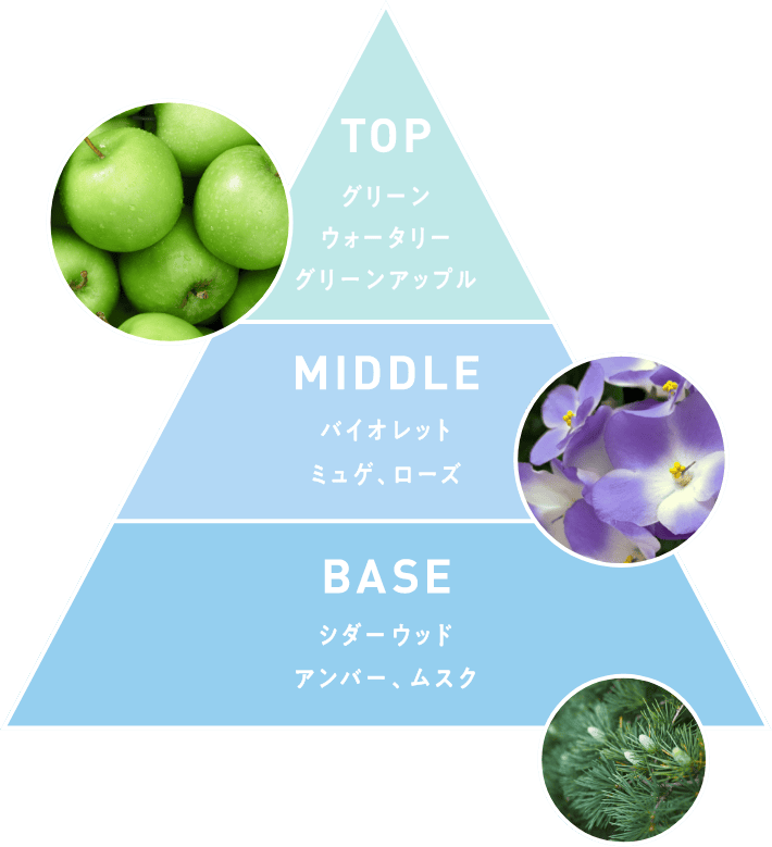TOP グリーン ウォータリー グリーンアップル MIDDLE バイオレット ミュゲ、ローズ BASE シダーウッド アンバー、ムスク
