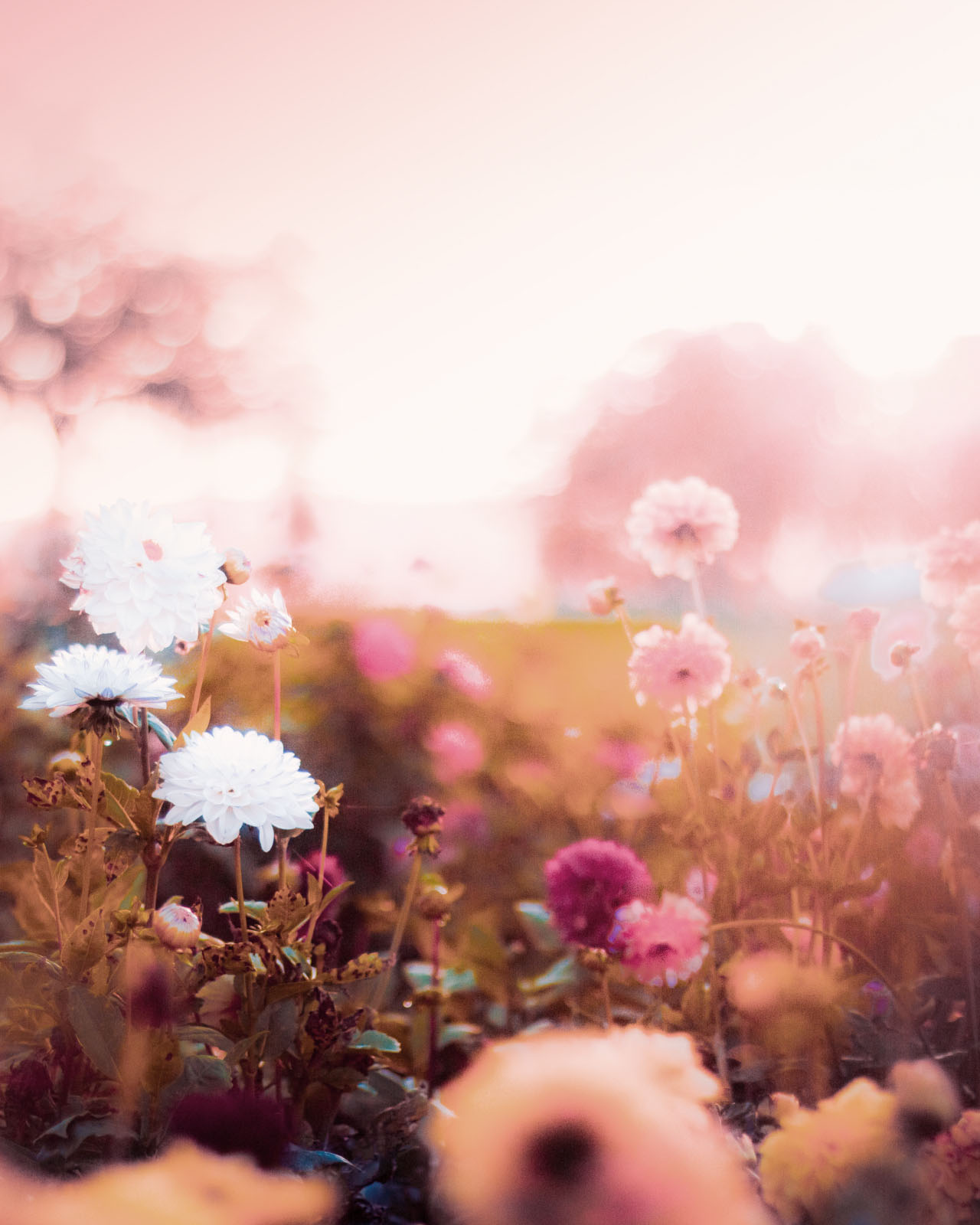 幸せに包まれる時間