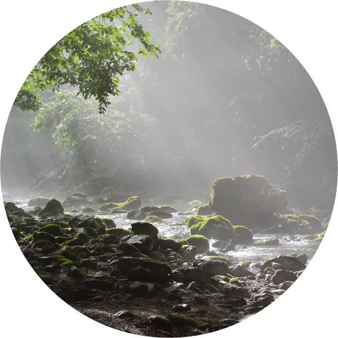 採水地イメージ 1