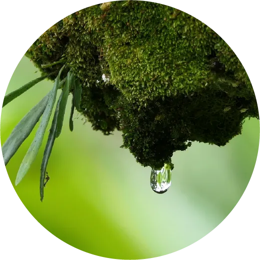 採水地イメージ 2