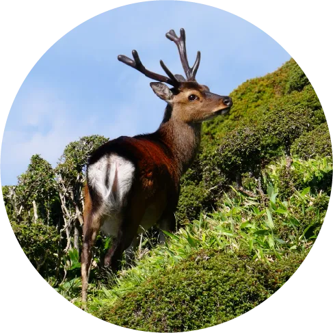 選ばれた大地 2