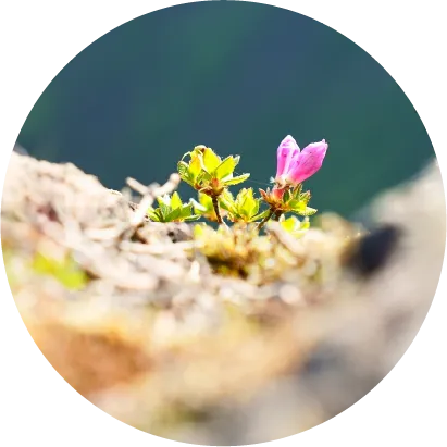 選ばれた大地 3