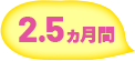2.5ヵ月間