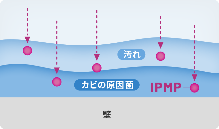 IPMPのイラスト