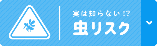 実は知らない？虫リスク