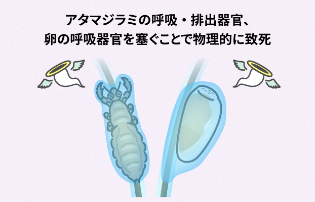 アタマジラミの呼吸・排出器官、卵の呼吸器官を塞ぐことで物理的に致死