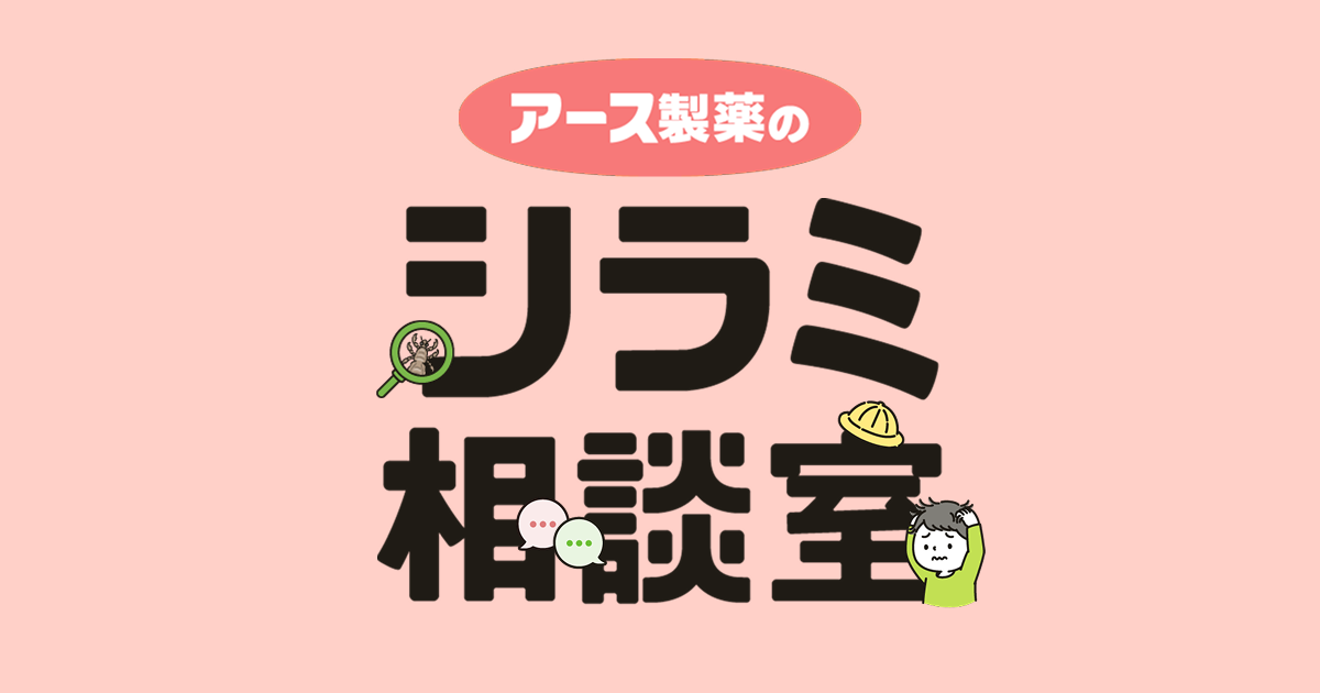 アタマジラミの駆除・対策法｜アース製薬のシラミ相談室｜アース製薬
