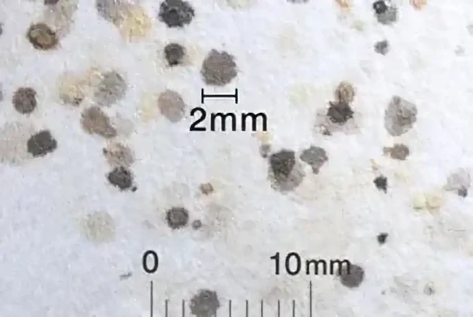 トコジラミの被害写真(血が混ざった赤っぽいフンがついて汚れる)