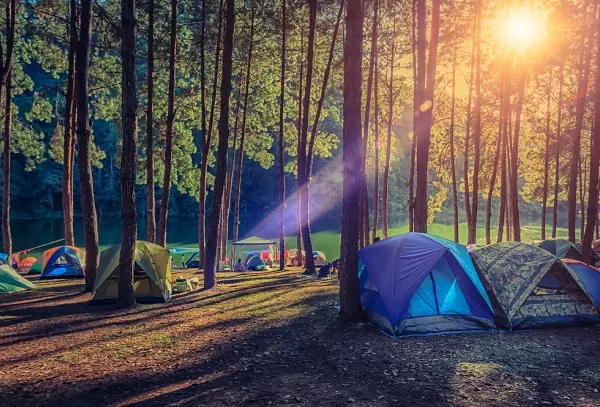 実は公園にもいる?マダニ対策と咬まれたときの対処法。