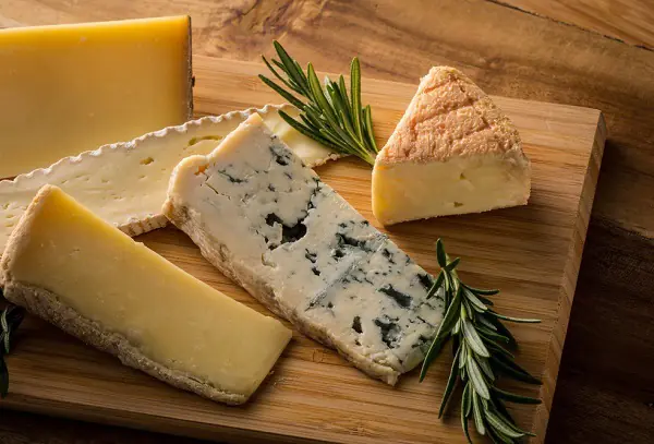 好物がチーズって本当?電気コードをかじるのはなぜ?ねずみの不思議。